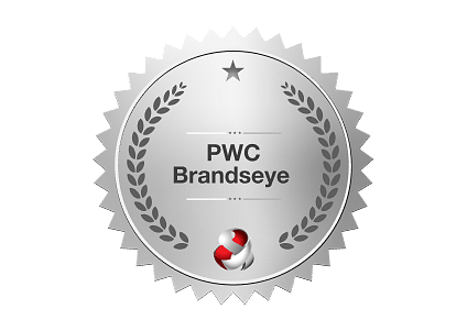 PWC Brandseye Award.png