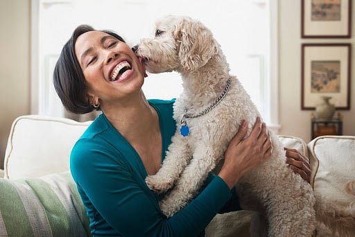 Blog image - From Checkups to Emergencies- Why Pet Insurance Makes Sense .jpg