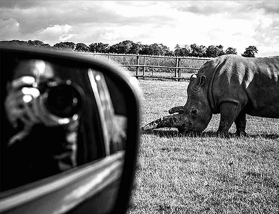 Blog image - A&G - Newsletter Blog - Game drive blog - 2055 × 1579[40].jpg