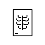 icon - Xray.png