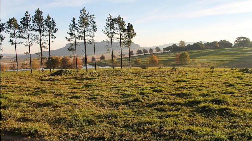 Midlands Meander dsktp@2x