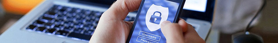 DD1118_Blog-06_fraud-scams_960x150.jpg