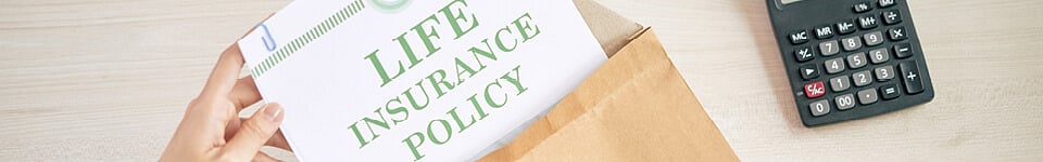 Dialdirect - InfoSlip Blog Image - 960 x 150.jpg