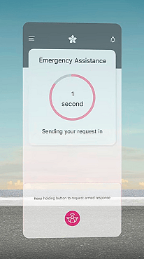 in app panic button.png