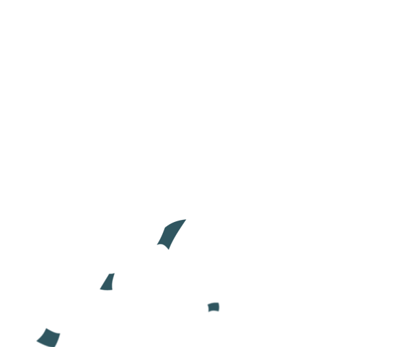 Group_Confetti_Desktop x1 .png