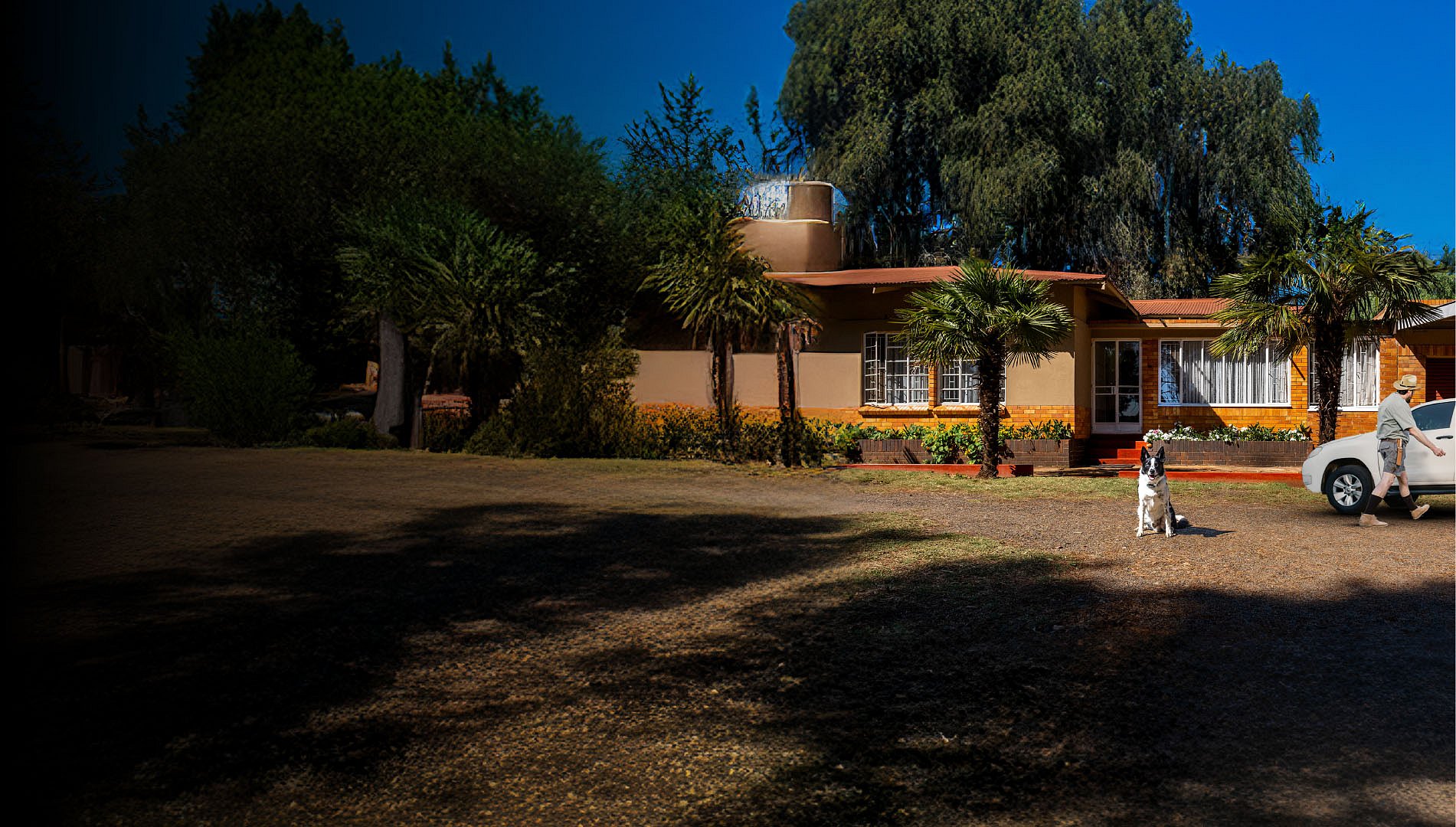 Job 115 Virseker Website Hero Banner Images v3-03.jpg