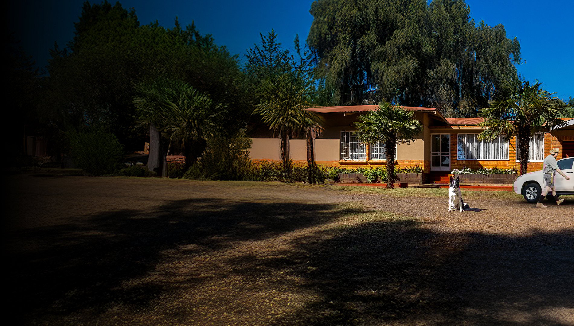 Virseker Hero Banner.jpg